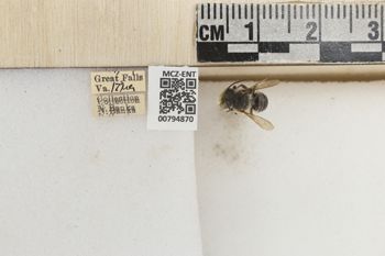 Media type: image;   Entomology 794870 Aspect: Labels